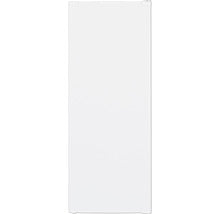 Congélateur Armoire PKM - GS168-M