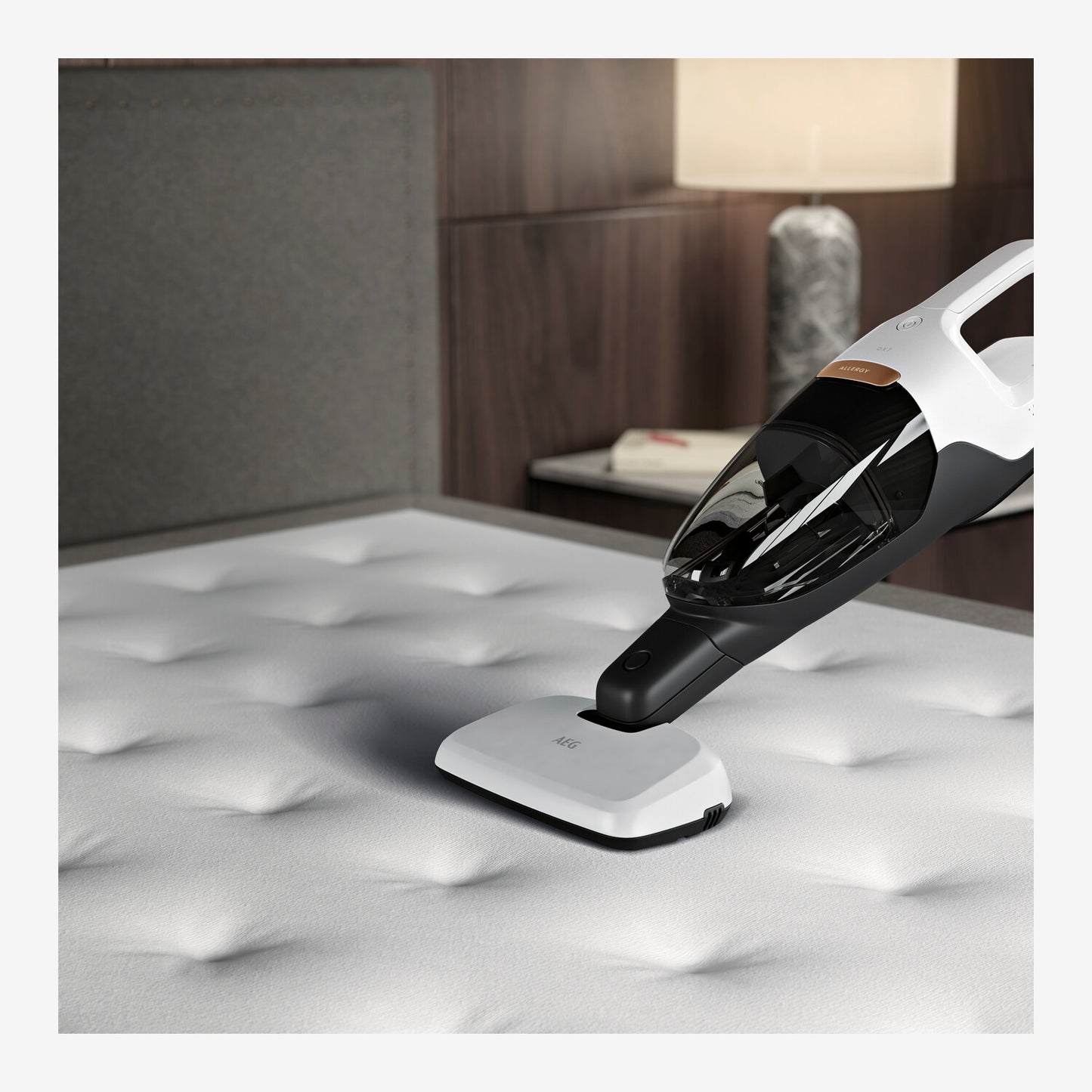 Aspirateur balai AEG - QX8-2-PALR
